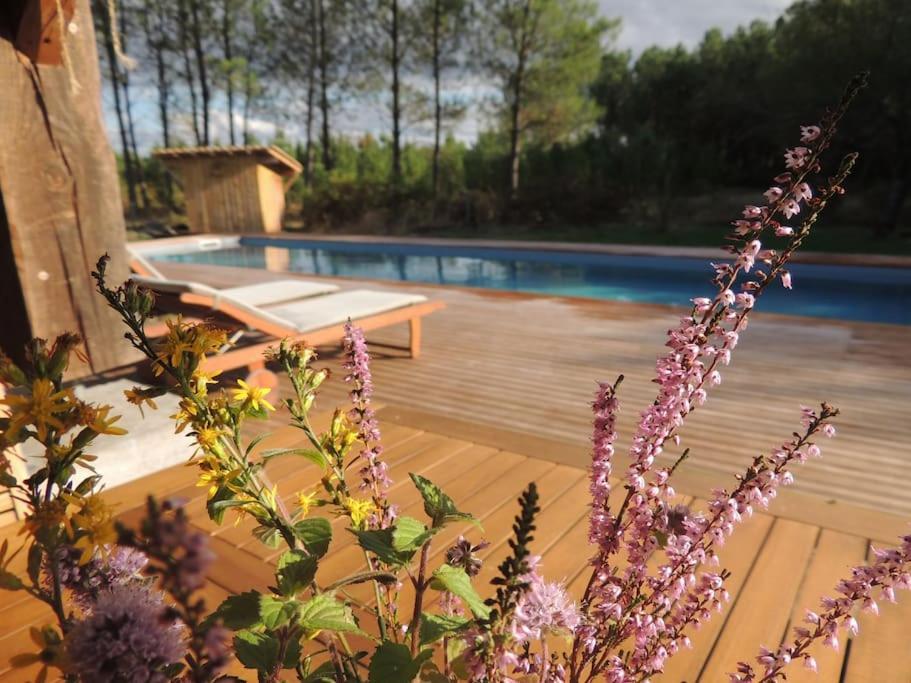 Entre Chevreuil Et Cerf Villa Belin-Beliet Ngoại thất bức ảnh