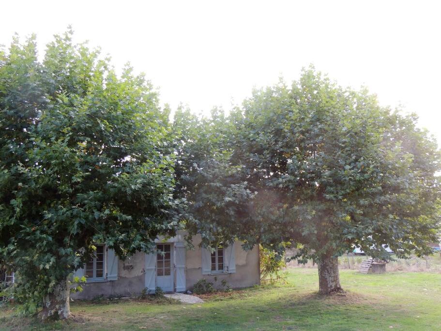 Entre Chevreuil Et Cerf Villa Belin-Beliet Ngoại thất bức ảnh