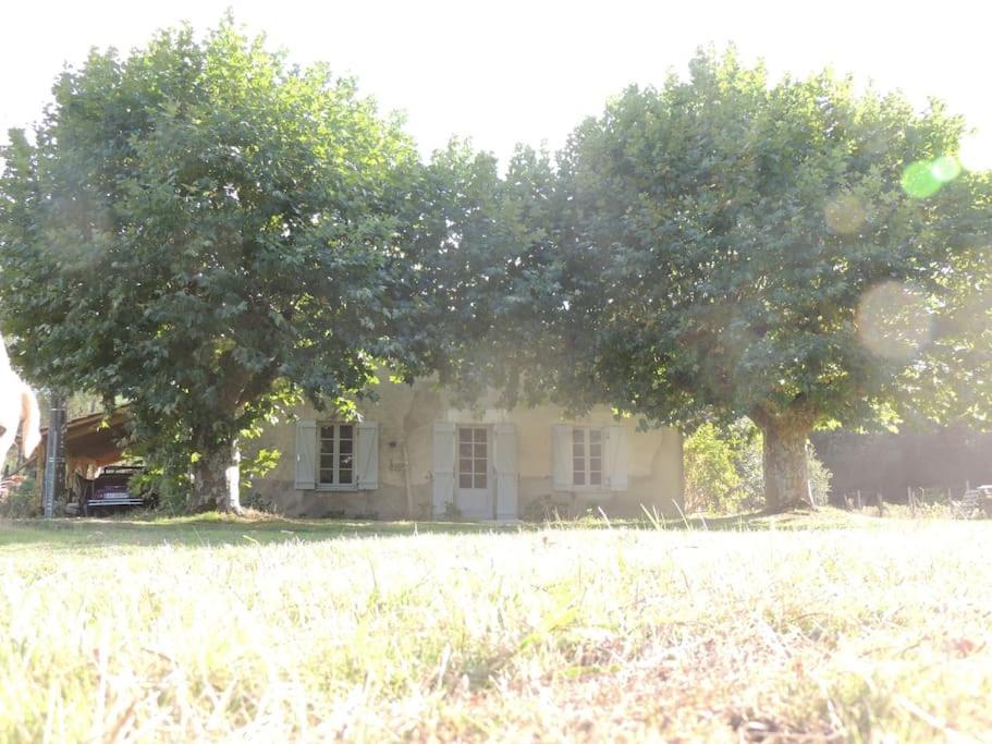 Entre Chevreuil Et Cerf Villa Belin-Beliet Ngoại thất bức ảnh