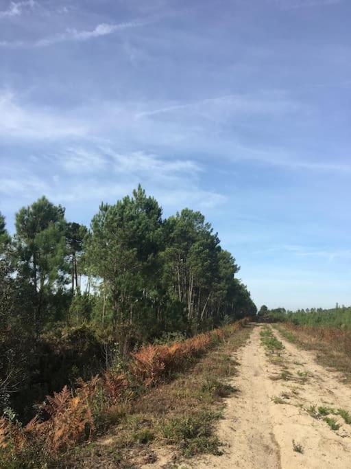 Entre Chevreuil Et Cerf Villa Belin-Beliet Ngoại thất bức ảnh